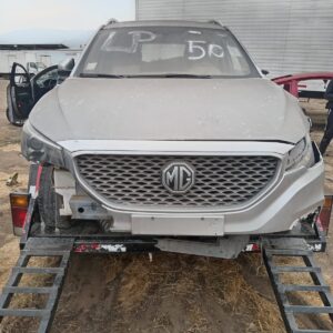 Mg zs año 2018