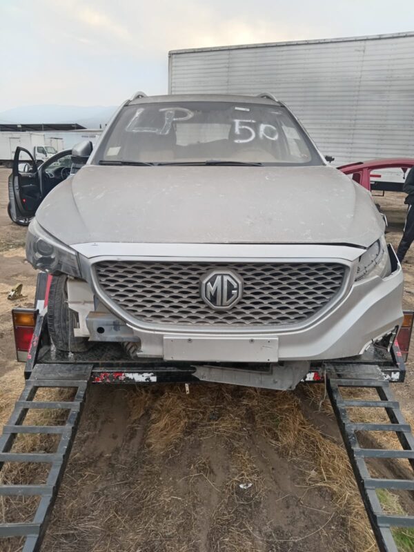 Mg zs año 2018